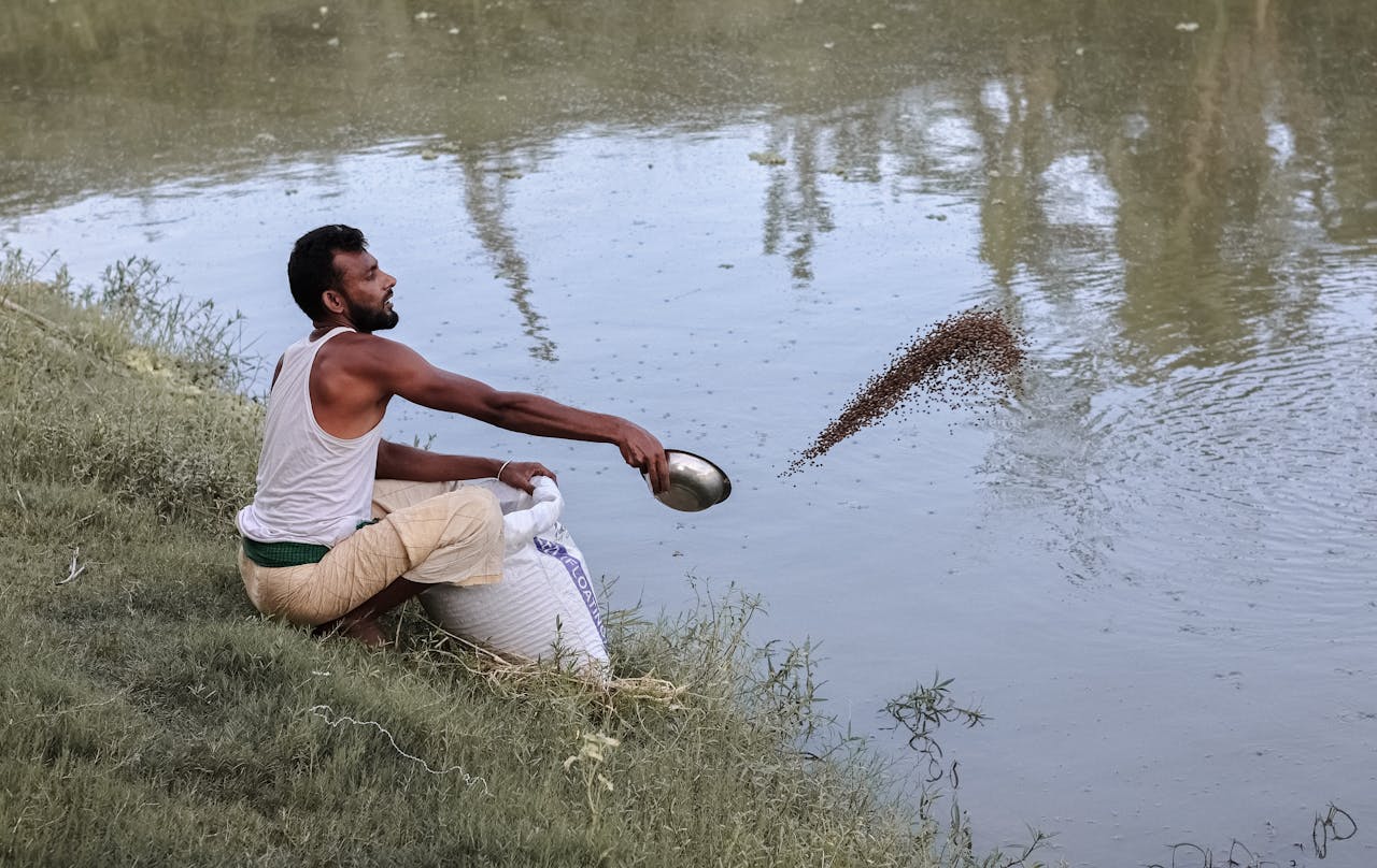 Man throwing food into the pond